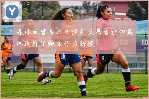 森林狼曾与公牛谈判交易吉迪但最终选择了鲍尔作为新援
